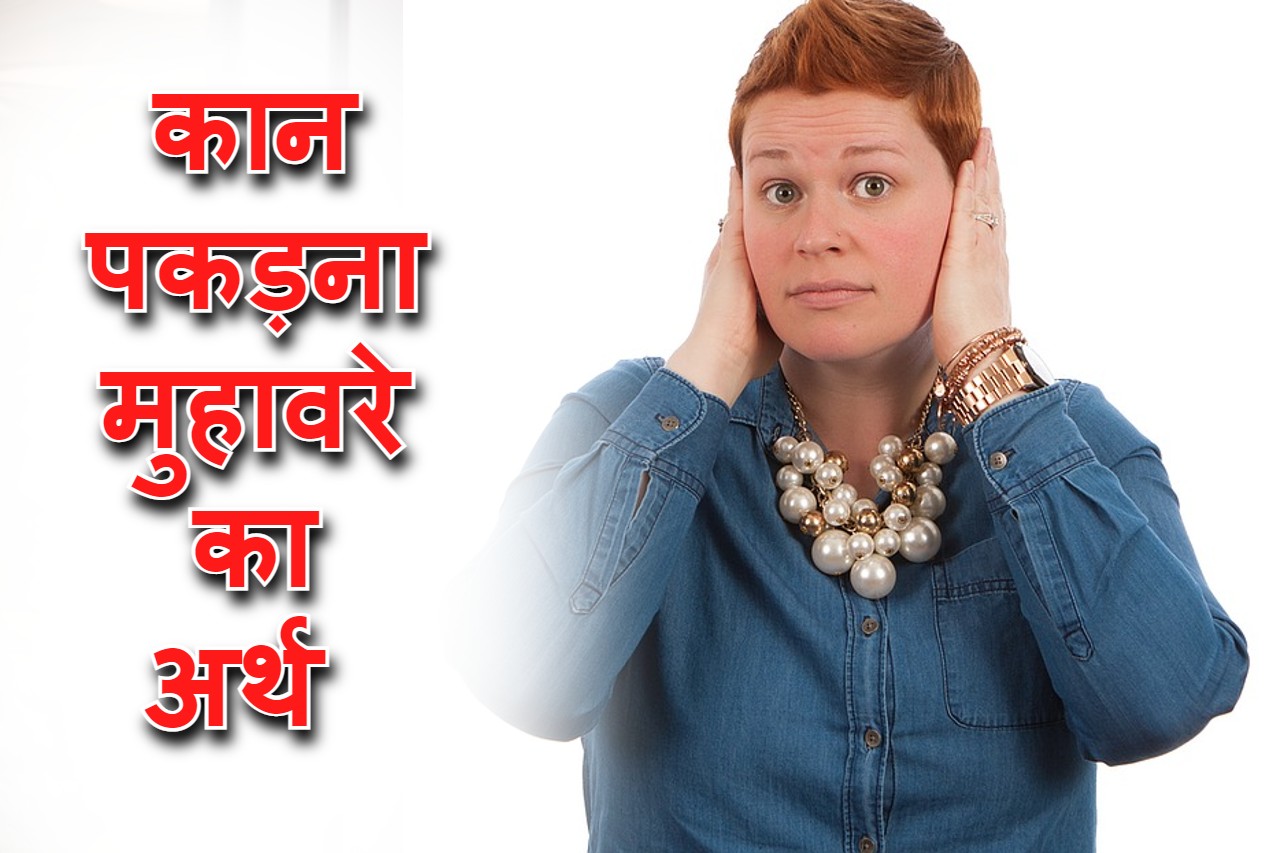 english-to-hindi-daily-use-sentences